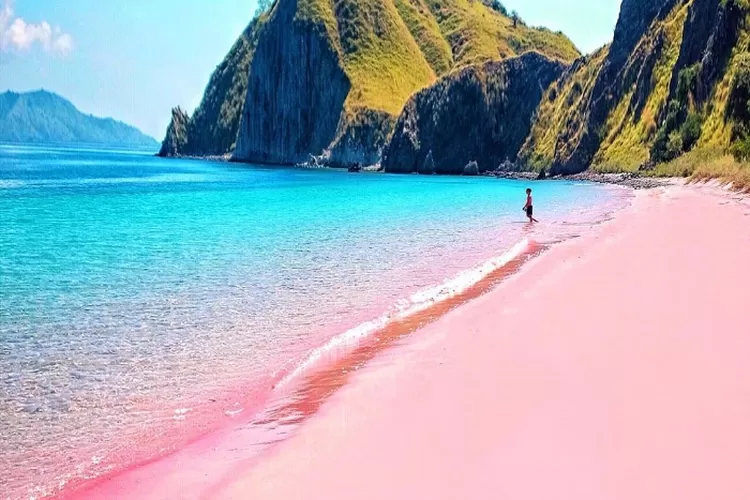Destinasi Wisata Labuan Bajo Di Nusa Tenggara Timur Destinasi Wisata Labuan Bajo