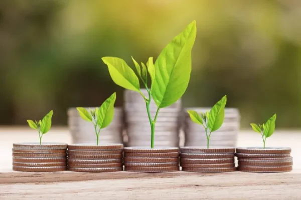 Manfaat Investasi Menggunakan Reksadana yang Jarang Diketahui - Bagi kebanyakan investor, reksa dana akan selalu menjadi salah satu instrumen investasi yang tidak tergantikan