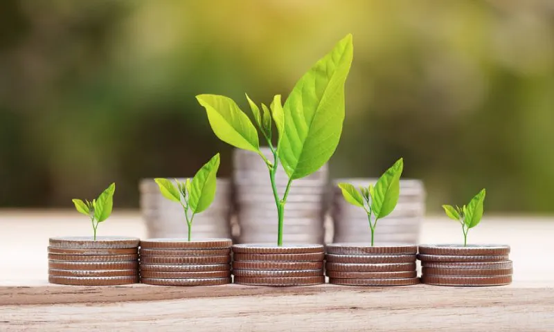 Manfaat Investasi Menggunakan Reksadana yang Jarang Diketahui - Bagi kebanyakan investor, reksa dana akan selalu menjadi salah satu instrumen investasi yang tidak tergantikan